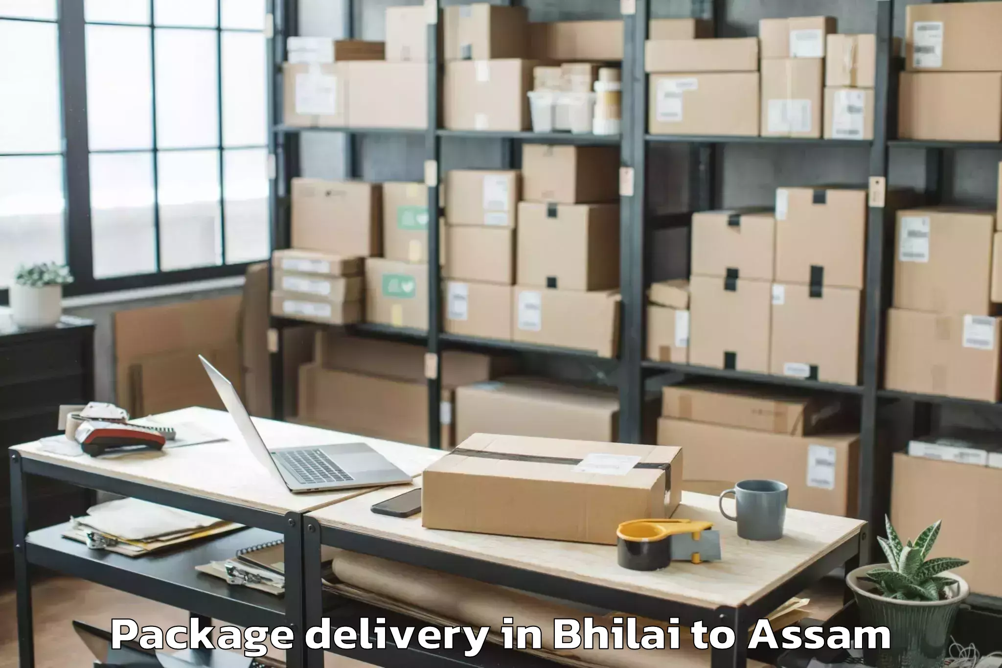 Trusted Bhilai to Dhing Package Delivery